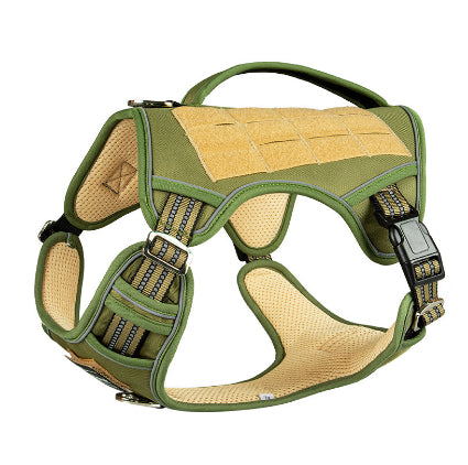 b737880f4307b24fdafbdb98b52a1faf